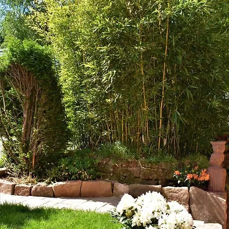 Fvh Family Vacation Apartment Heidelberg