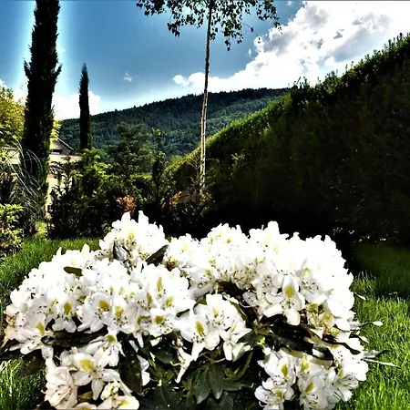 Fvh Family Vacation Appartamento Heidelberg