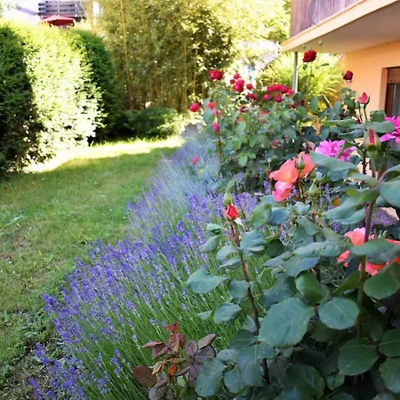 Fvh Family Vacation Appartamento *