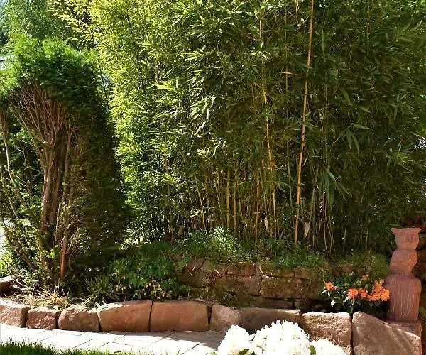 Fvh Family Vacation شقة هايدلبرغ