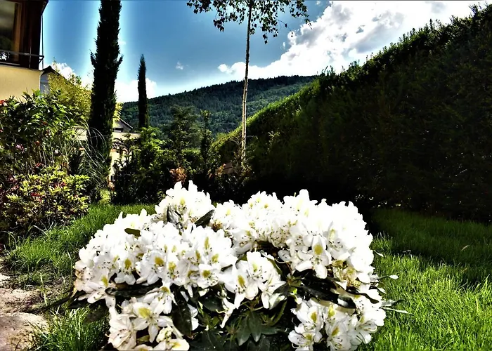 Fvh Family Vacation شقة هايدلبرغ